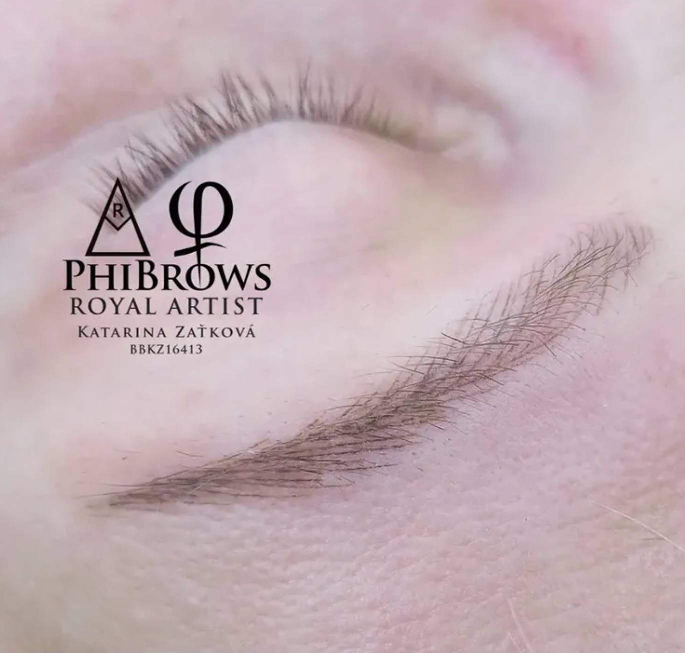 Beautiful Brows